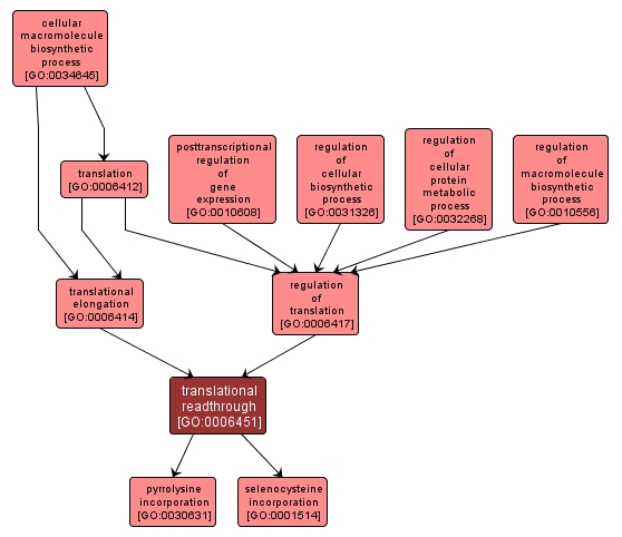 GO:0006451 - translational readthrough (interactive image map)