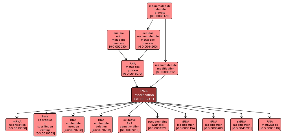 GO:0009451 - RNA modification (interactive image map)