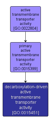 GO:0015451 - decarboxylation-driven active transmembrane transporter activity (interactive image map)