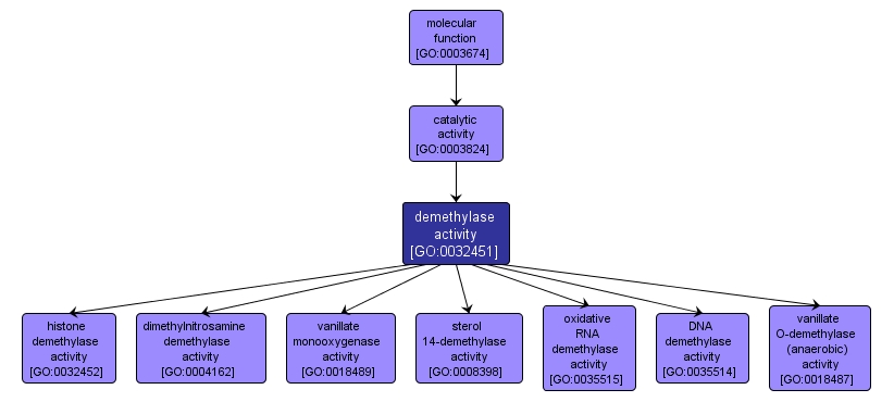 GO:0032451 - demethylase activity (interactive image map)