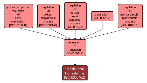 GO:0006452 - translational frameshifting (interactive image map)