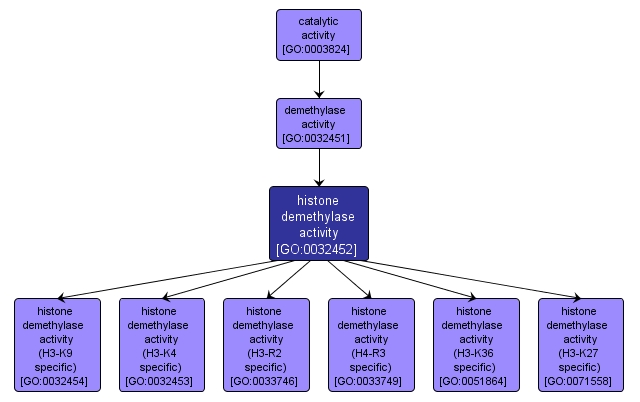 GO:0032452 - histone demethylase activity (interactive image map)