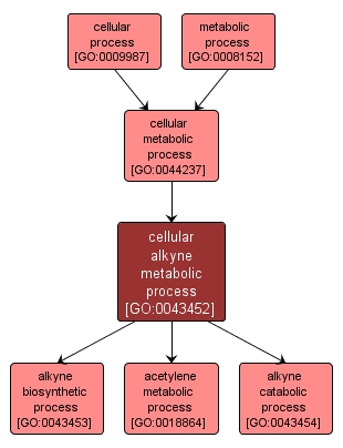 GO:0043452 - cellular alkyne metabolic process (interactive image map)
