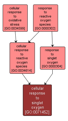 GO:0071452 - cellular response to singlet oxygen (interactive image map)