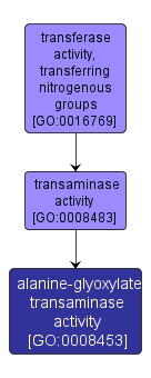 GO:0008453 - alanine-glyoxylate transaminase activity (interactive image map)