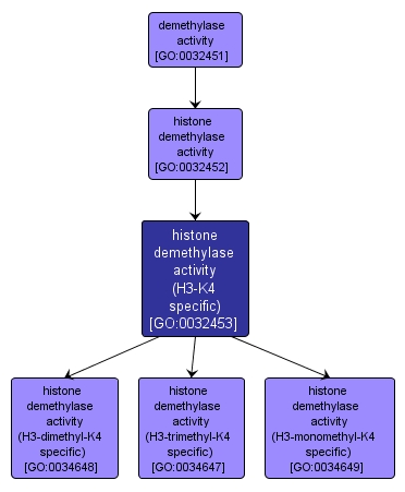 GO:0032453 - histone demethylase activity (H3-K4 specific) (interactive image map)