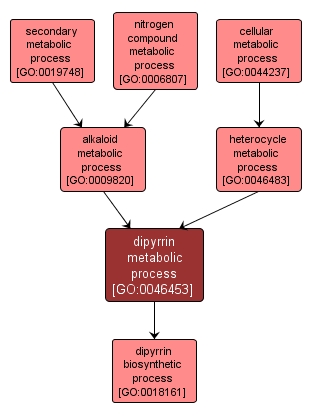 GO:0046453 - dipyrrin metabolic process (interactive image map)