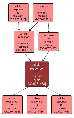 GO:0071453 - cellular response to oxygen levels (interactive image map)