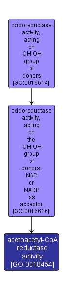 GO:0018454 - acetoacetyl-CoA reductase activity (interactive image map)