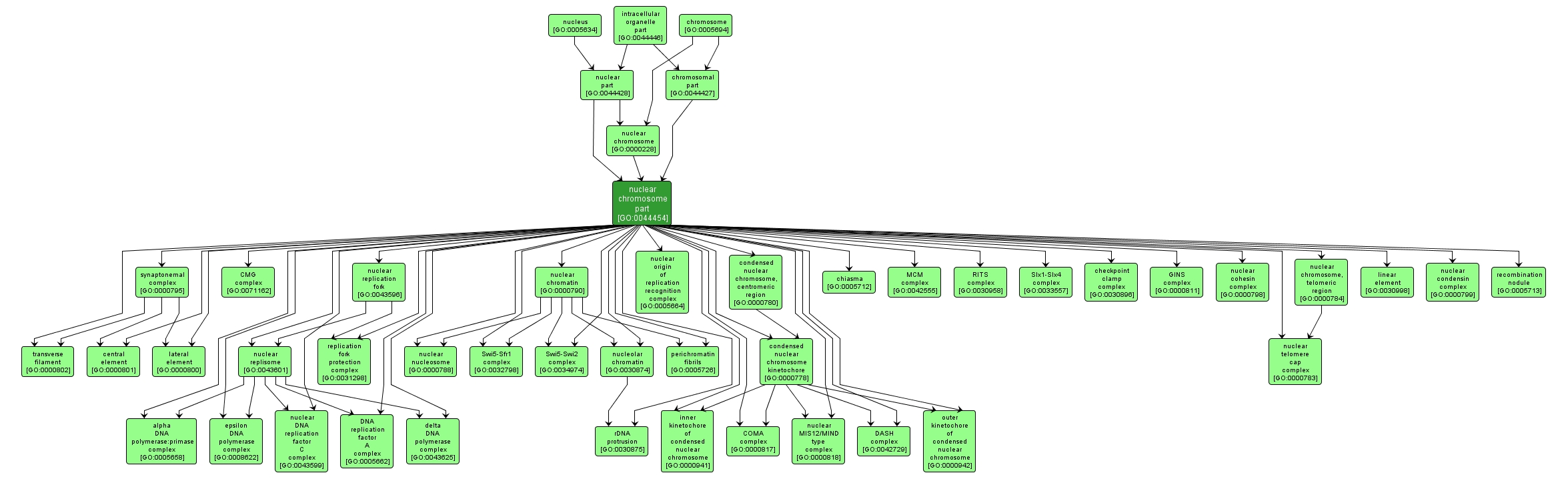 GO:0044454 - nuclear chromosome part (interactive image map)