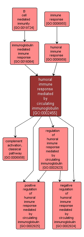 GO:0002455 - humoral immune response mediated by circulating immunoglobulin (interactive image map)
