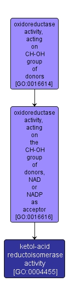 GO:0004455 - ketol-acid reductoisomerase activity (interactive image map)