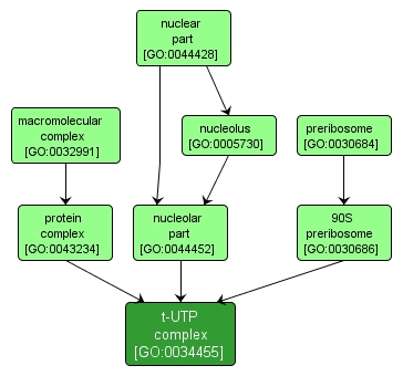 GO:0034455 - t-UTP complex (interactive image map)