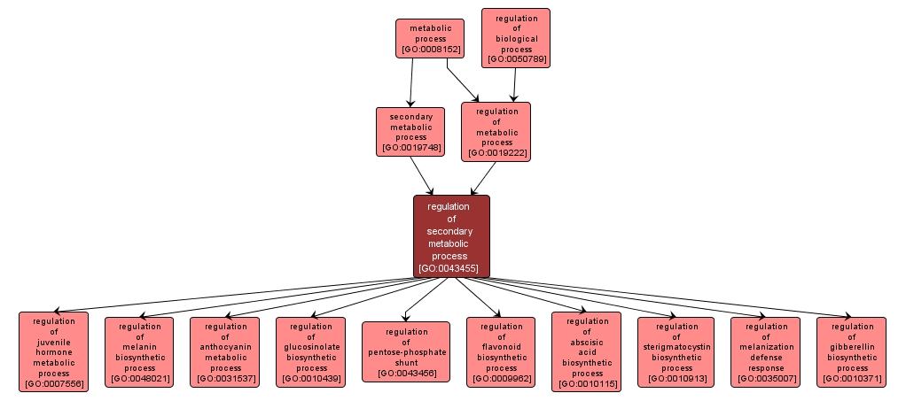 GO:0043455 - regulation of secondary metabolic process (interactive image map)