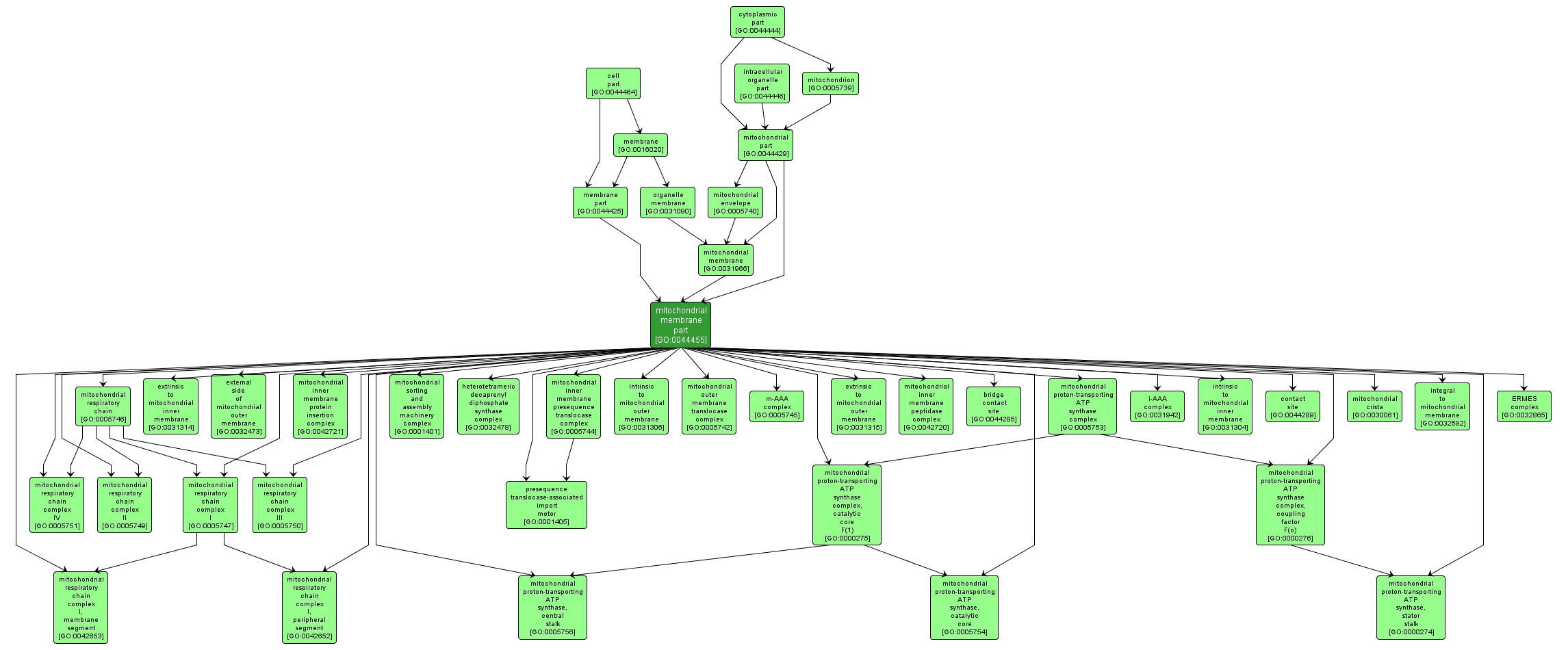 GO:0044455 - mitochondrial membrane part (interactive image map)