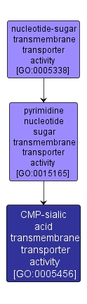 GO:0005456 - CMP-sialic acid transmembrane transporter activity (interactive image map)