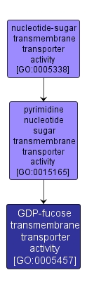 GO:0005457 - GDP-fucose transmembrane transporter activity (interactive image map)