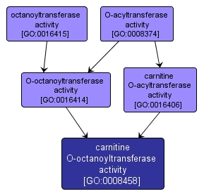 GO:0008458 - carnitine O-octanoyltransferase activity (interactive image map)