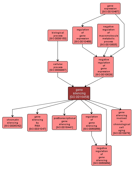 GO:0016458 - gene silencing (interactive image map)