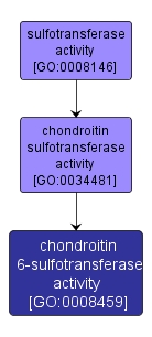 GO:0008459 - chondroitin 6-sulfotransferase activity (interactive image map)