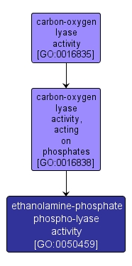 GO:0050459 - ethanolamine-phosphate phospho-lyase activity (interactive image map)