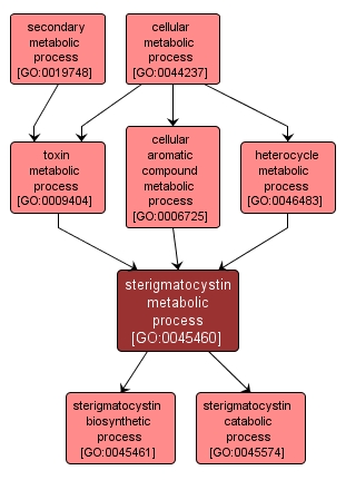 GO:0045460 - sterigmatocystin metabolic process (interactive image map)