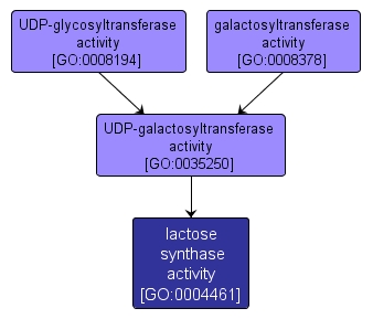 GO:0004461 - lactose synthase activity (interactive image map)