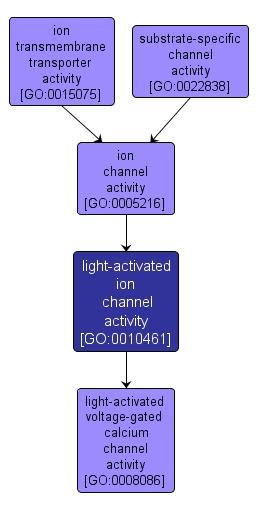 GO:0010461 - light-activated ion channel activity (interactive image map)