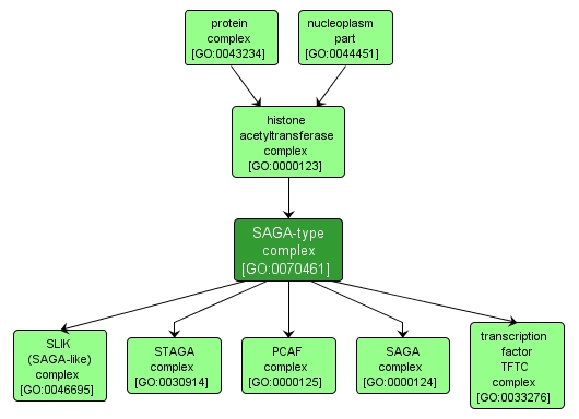 GO:0070461 - SAGA-type complex (interactive image map)