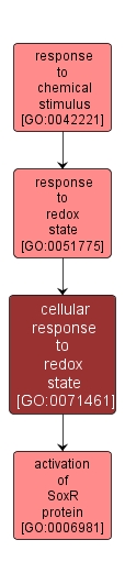 GO:0071461 - cellular response to redox state (interactive image map)