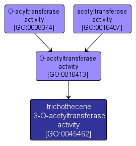 GO:0045462 - trichothecene 3-O-acetyltransferase activity (interactive image map)