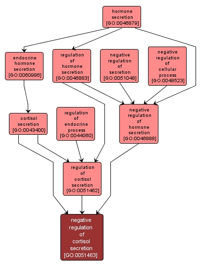 GO:0051463 - negative regulation of cortisol secretion (interactive image map)