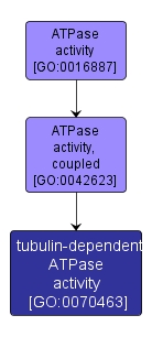 GO:0070463 - tubulin-dependent ATPase activity (interactive image map)