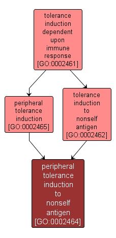 GO:0002464 - peripheral tolerance induction to nonself antigen (interactive image map)