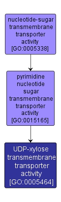 GO:0005464 - UDP-xylose transmembrane transporter activity (interactive image map)