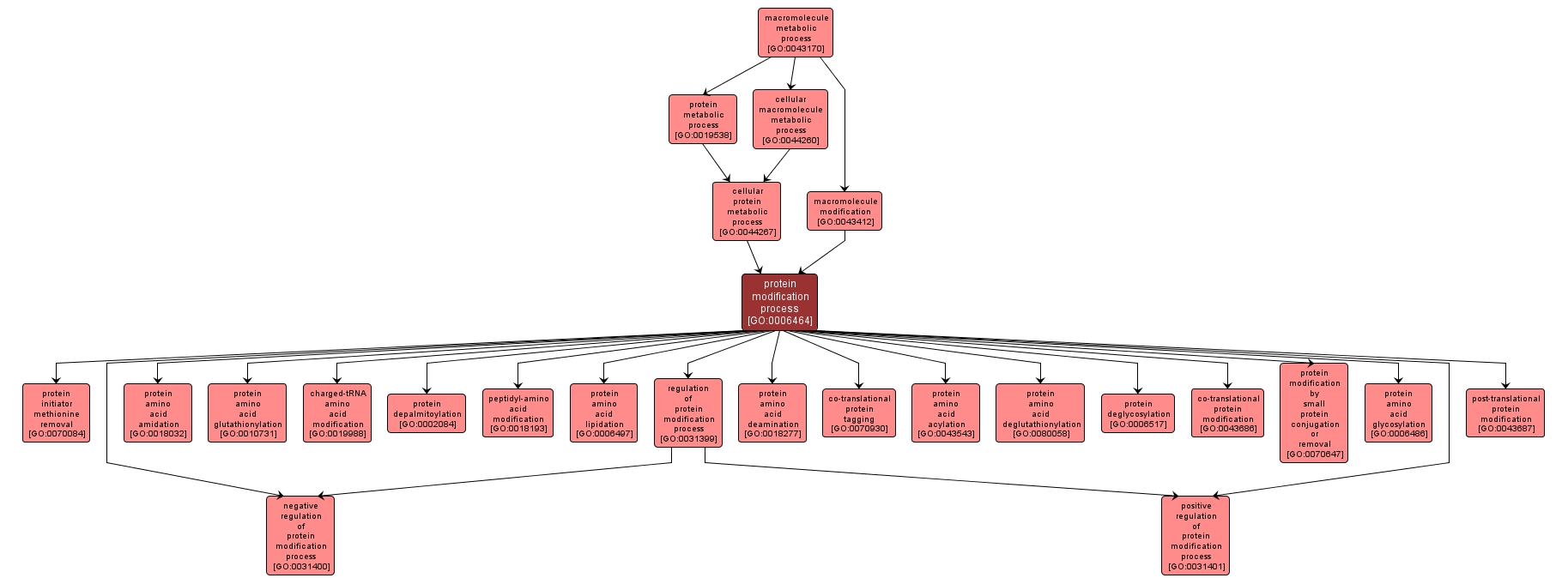 GO:0006464 - protein modification process (interactive image map)