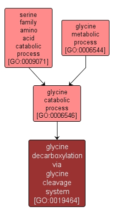GO:0019464 - glycine decarboxylation via glycine cleavage system (interactive image map)