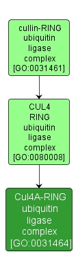 GO:0031464 - Cul4A-RING ubiquitin ligase complex (interactive image map)