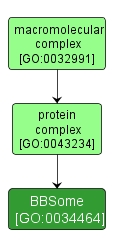 GO:0034464 - BBSome (interactive image map)