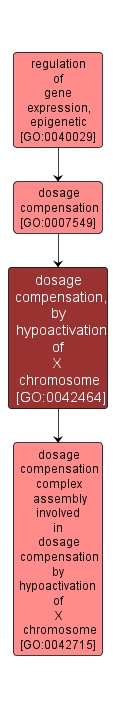 GO:0042464 - dosage compensation, by hypoactivation of X chromosome (interactive image map)