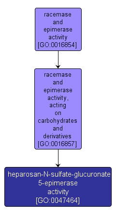 GO:0047464 - heparosan-N-sulfate-glucuronate 5-epimerase activity (interactive image map)