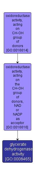 GO:0008465 - glycerate dehydrogenase activity (interactive image map)