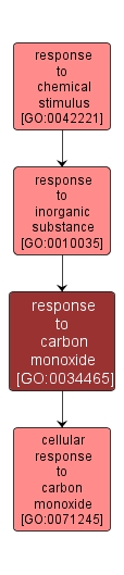 GO:0034465 - response to carbon monoxide (interactive image map)