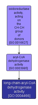 GO:0004466 - long-chain-acyl-CoA dehydrogenase activity (interactive image map)