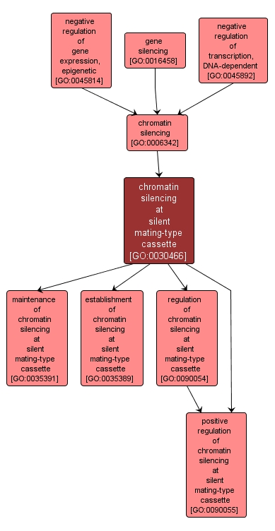 GO:0030466 - chromatin silencing at silent mating-type cassette (interactive image map)