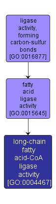 GO:0004467 - long-chain fatty acid-CoA ligase activity (interactive image map)
