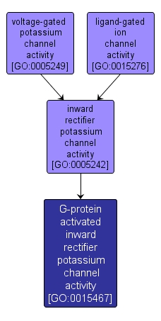 GO:0015467 - G-protein activated inward rectifier potassium channel activity (interactive image map)