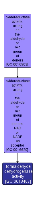 GO:0018467 - formaldehyde dehydrogenase activity (interactive image map)