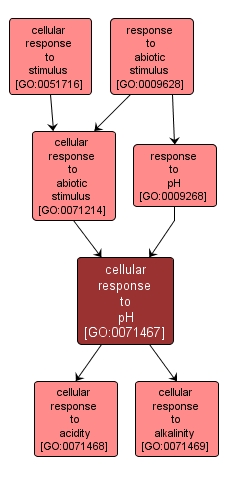 GO:0071467 - cellular response to pH (interactive image map)