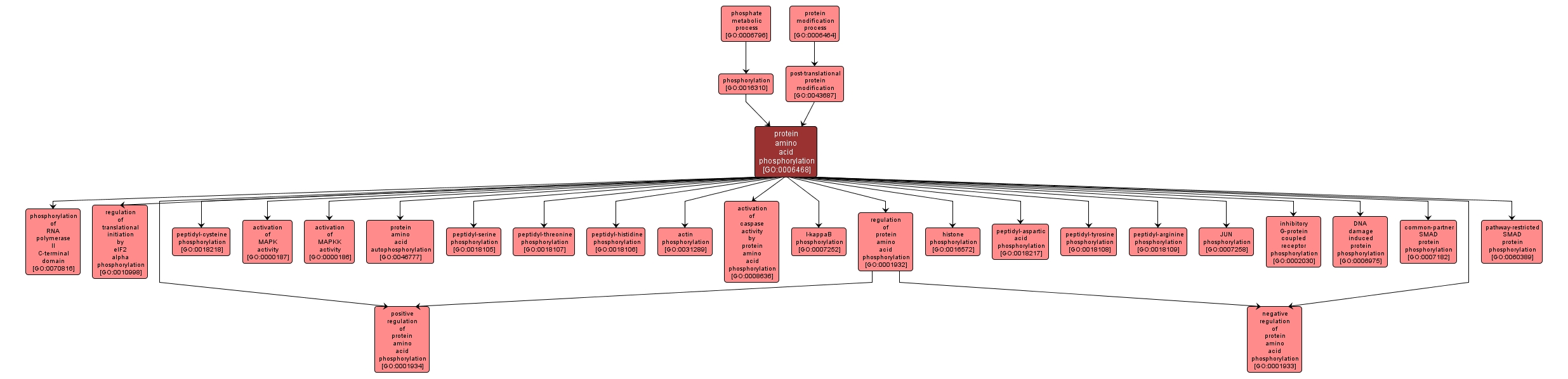 GO:0006468 - protein amino acid phosphorylation (interactive image map)